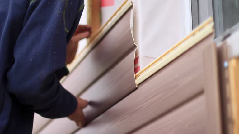 Best Stucco Siding  in Paulden, AZ